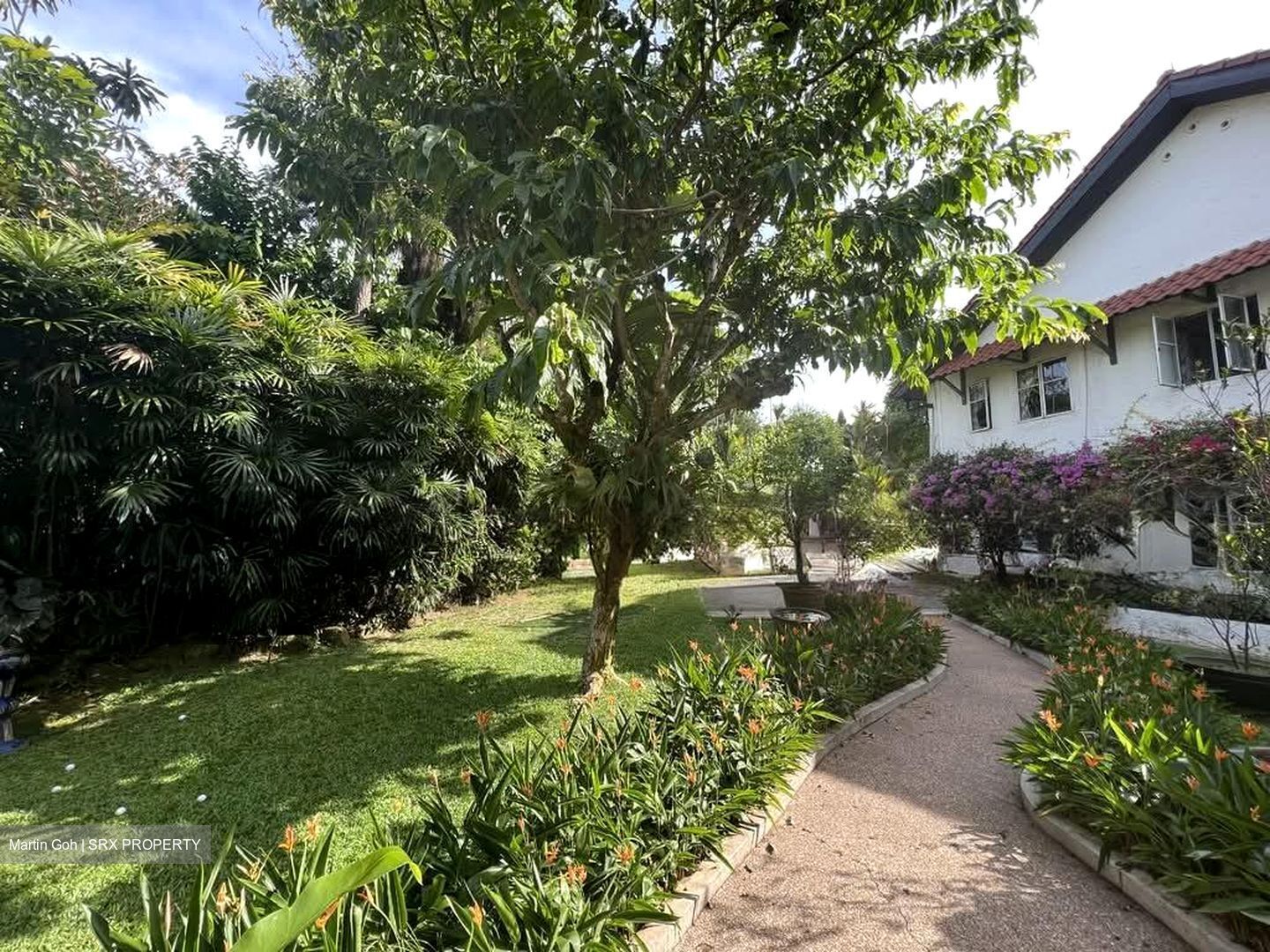 Race Course Road (D8), Detached #561673541
